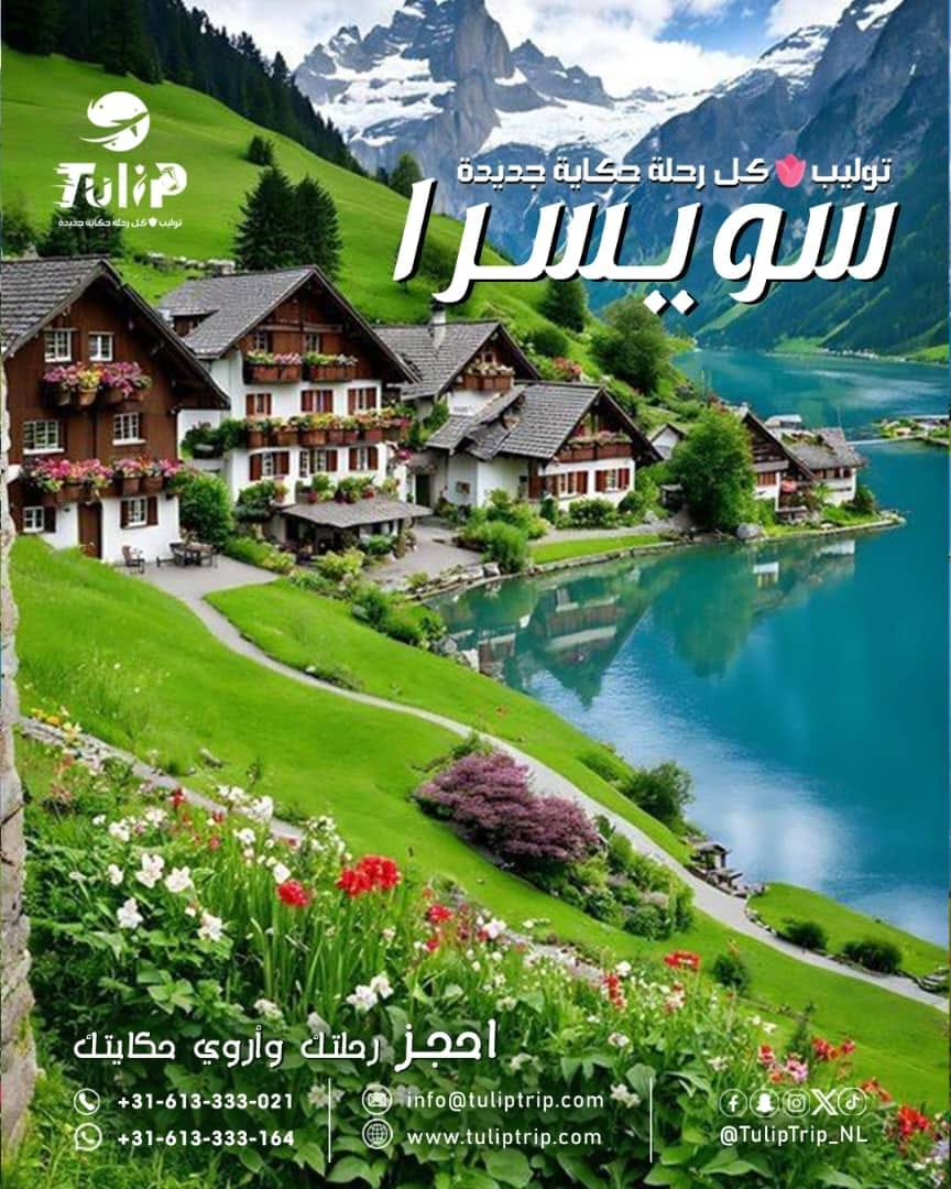 عرض 1